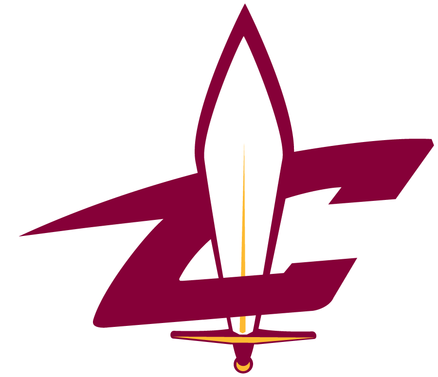 Canton Charge 2010-Pres Alternate Logo iron on transfers for T-shirts